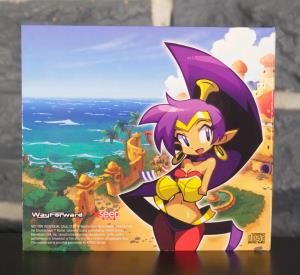 Shantae- Half-Genie Hero (18)
